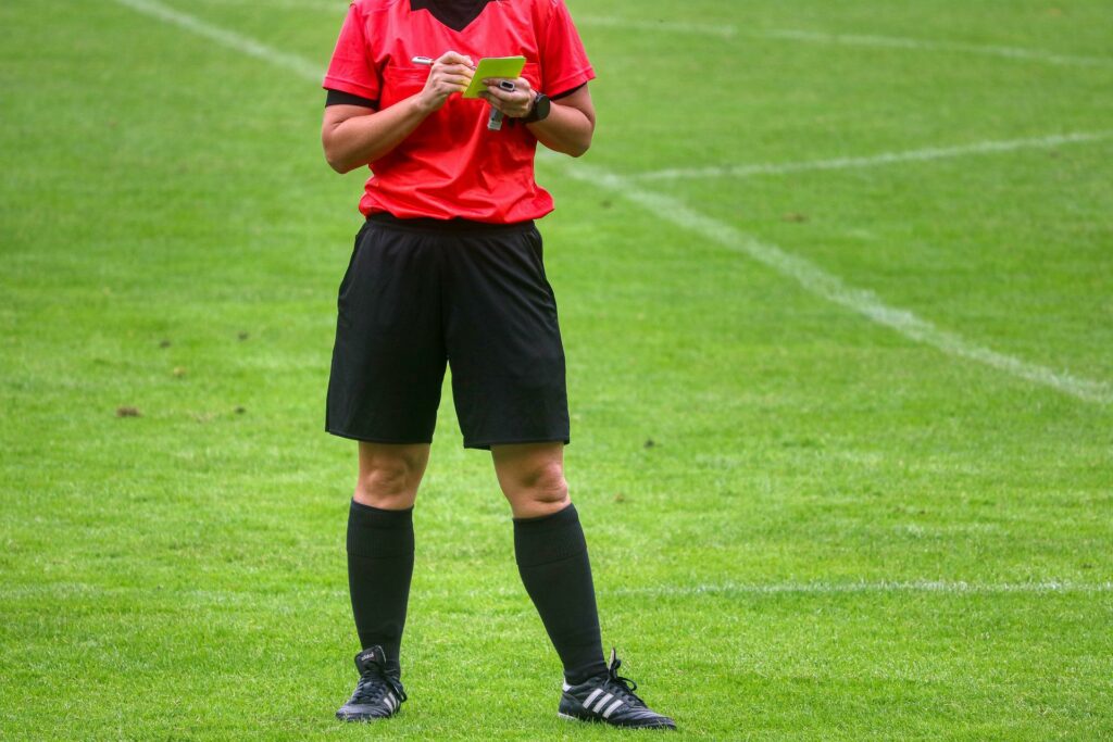 best referee 2013