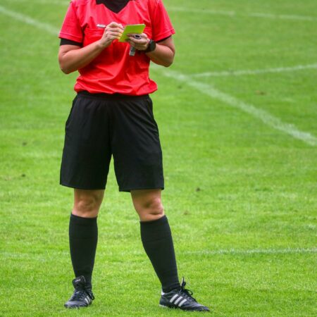 The world’s best referee 2013